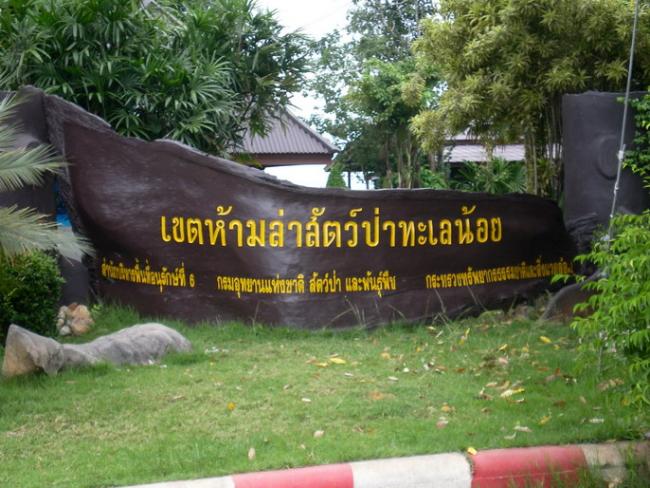 SANY7397.jpg